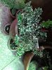 20140821_145801