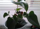 20140821_152524