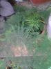 20140820_150748