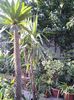 20140719_191404