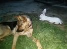 IMG_20140820_205020