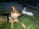 IMG_20140820_205009