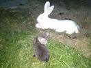 IMG_20140820_205103