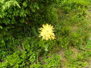 DSCN9348