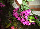 DSC01299
