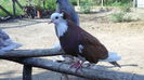 SAM_0686