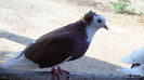 SAM_0653