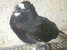 IMG-20140812-00738