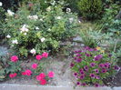 DSC01955