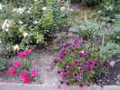 DSC01960