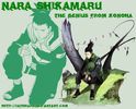 Shikamaru-shikamaru-17965527-900-720