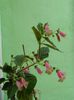 DSCN7139