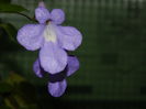 DSCN7150