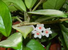 DSCN7186