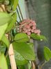 DSCN7187