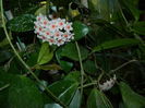 DSCN7208