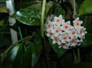 DSCN7209
