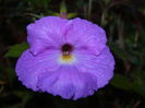 DSCN7240