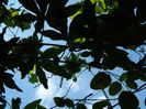 DSCN7384