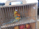 98600133_WEYLYFH
