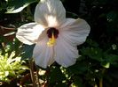 IMG_20140814_132208