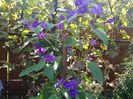 IMG_20140814_132257