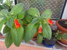 IMG_20140808_105217