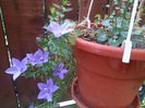 IMG_20140712_103025