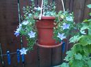 IMG_20140714_072546