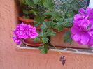 IMG_20140808_105147