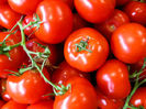 GIANT Italian Tomatoes - rosii gigant