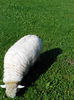 IMG_20140823_095519