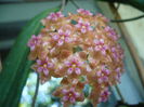 P1210100