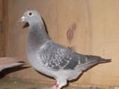 97704697_YGVQKMQ
