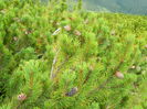 DSCN9357