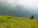 DSCN9361