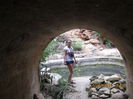 IMG_7679 - Copy