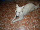 Mi-e cam somn