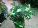 20140824_090123