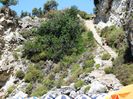 AGIOFILI BEACH (57)