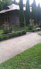 Manast. Voronet