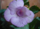 P1070392