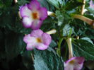 P1070399