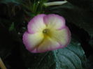 P1070402