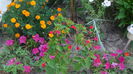 DSC03866