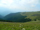 DSCN9454