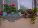 IMG_20140824_201245