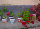 IMG_20140824_201325