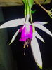 IMG_20140824_204938