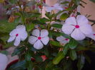 IMG_20140824_200323
